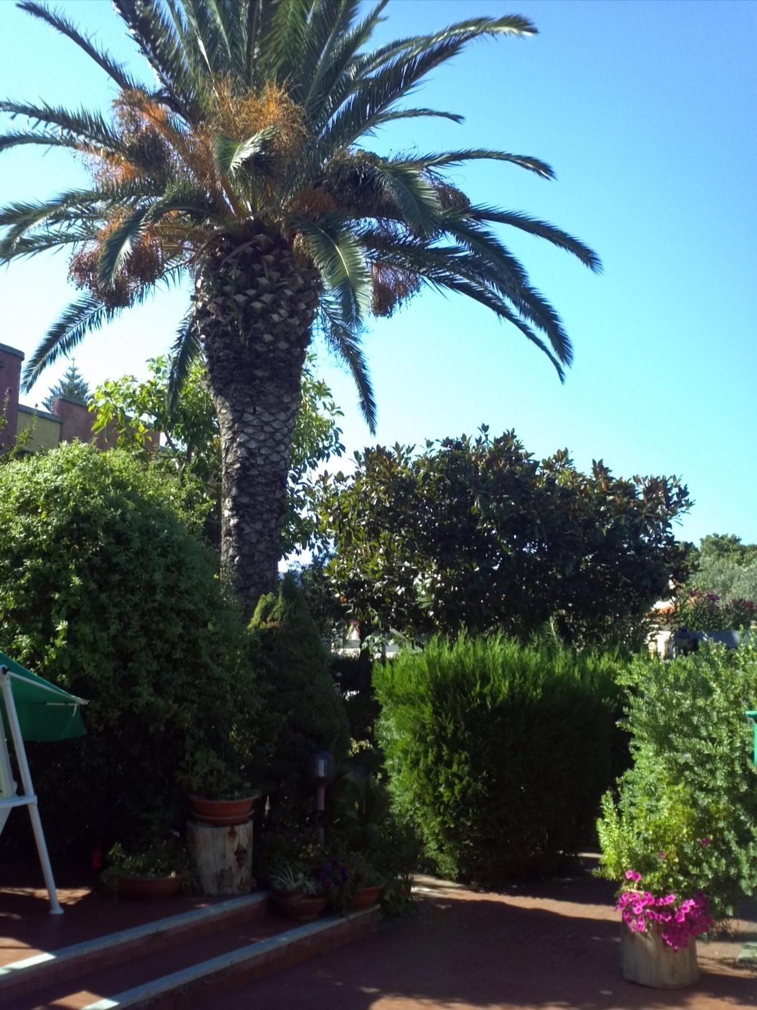 Hotel Abbaruja Olbia Exterior photo